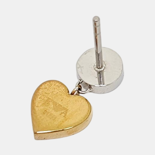 Stainless Steel Silver Earrings