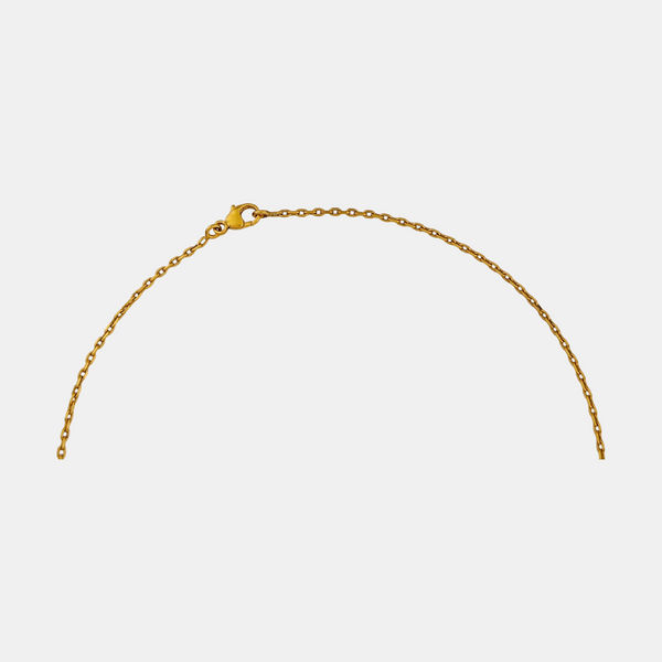 Cage D'h Metal Gold Necklace