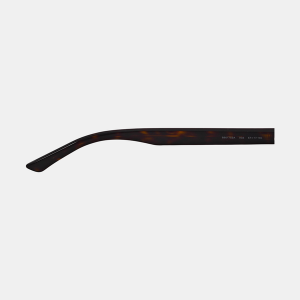 Synthetic Sunglasses Brown