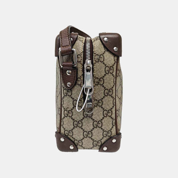 Trunk Monogram Coated Canvas Brown