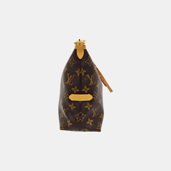 CARRYALL MM Monogram Coated Canvas Brown