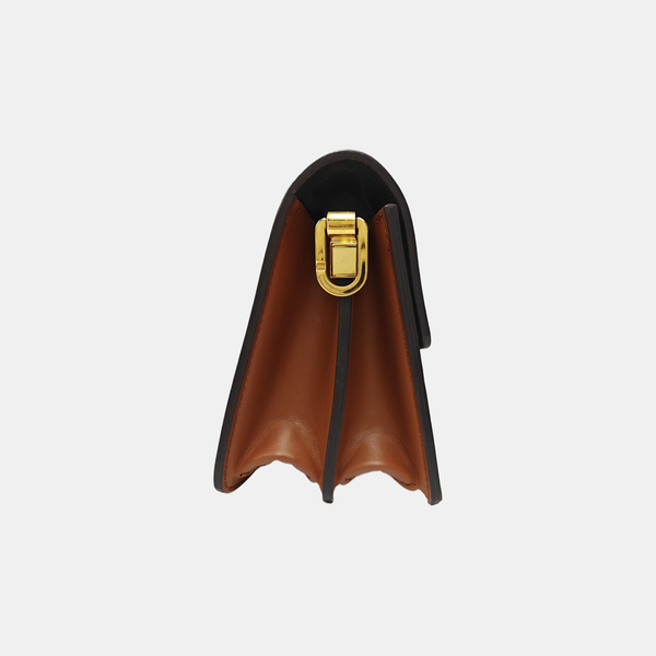 DAUPHINE Mini Monogram Coated Canvas Brown