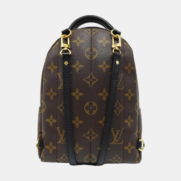 PALM SPRINGS Mini Monogram Coated Canvas Brown