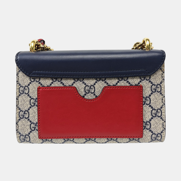 Padlock Small Monogram Coated Canvas Multicolor