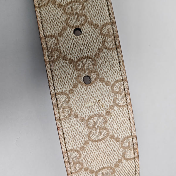 Coated Canvas Belt Beige