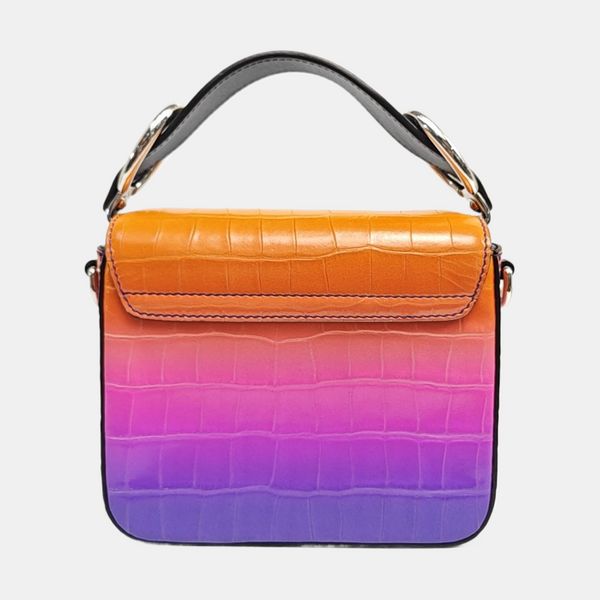 Chloé C Mini Calfskin Multicolor