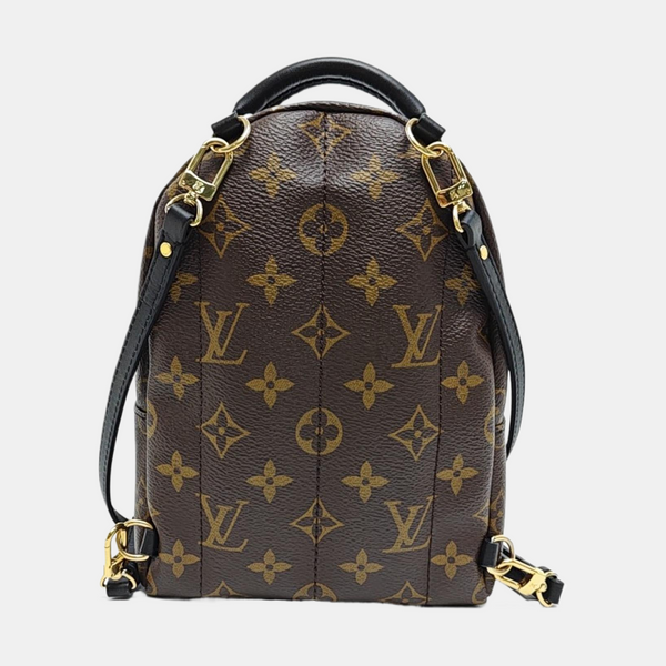 PALM SPRINGS Mini Monogram Coated Canvas Brown