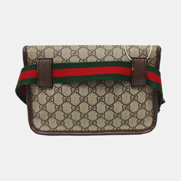 Neo Vintage Monogram Coated Canvas Beige