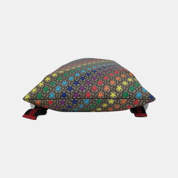 Monogram Coated Canvas Multicolor