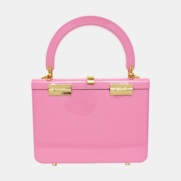 Authenticated pre-owned Sylvie 1969 Mini Plastic Pink - Shoulder Bag at Looply