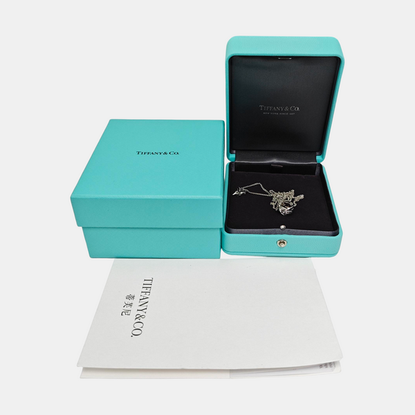 Platinum 950 Silver Necklace