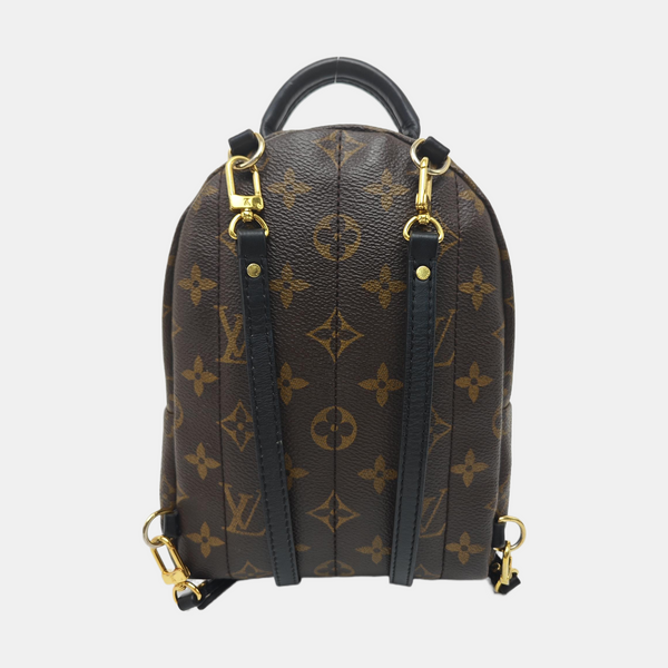 PALM SPRINGS Mini Monogram Coated Canvas Brown