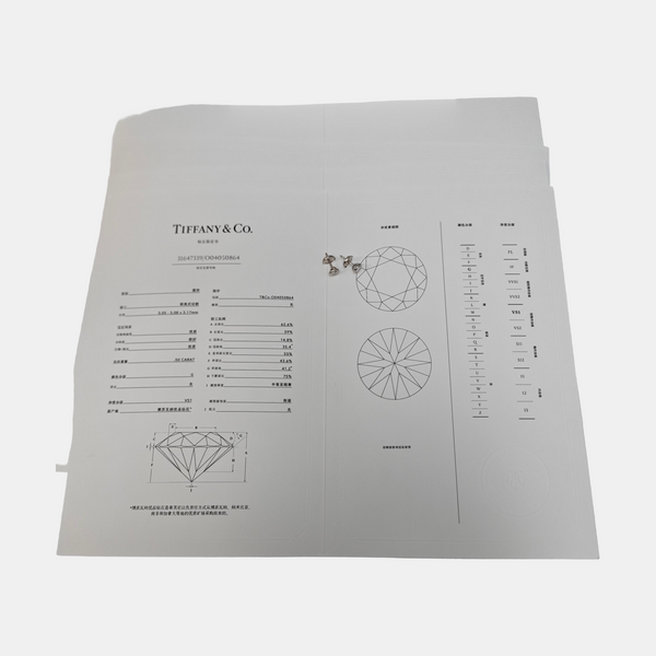 Platinum 950 Silver Stud Earrings