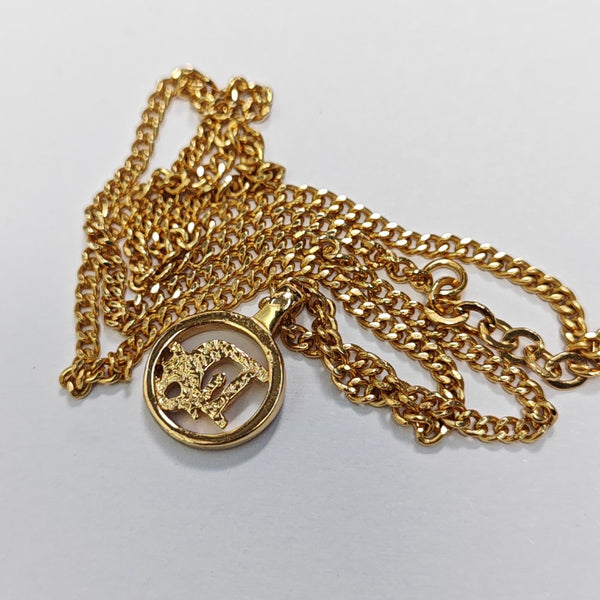 Dior Oblique Metal Gold Necklace