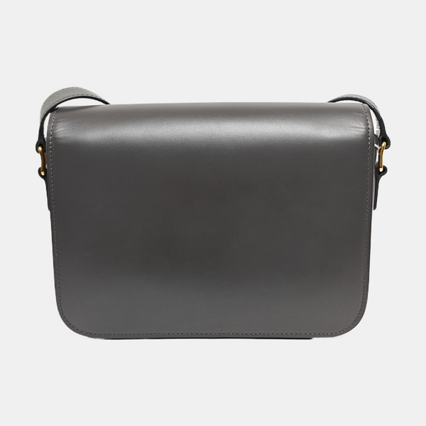 TRIOMPHE Medium Calfskin Gray