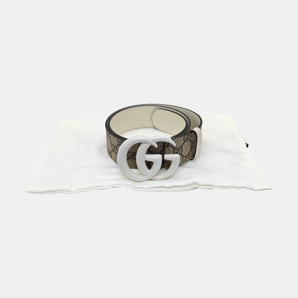 Coated Canvas Belt Beige