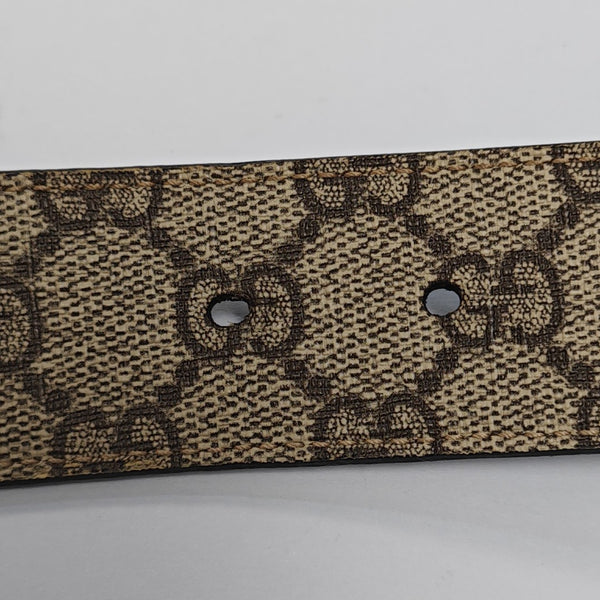 Coated Canvas Belt Brown