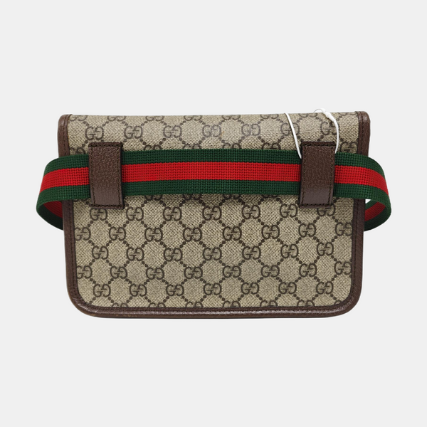 Neo Vintage Monogram Coated Canvas Beige
