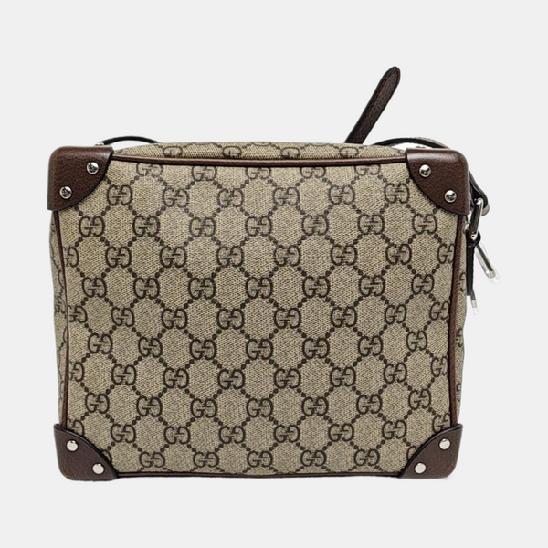 Trunk Monogram Coated Canvas Brown