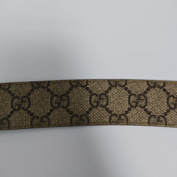 Coated Canvas Belt Beige