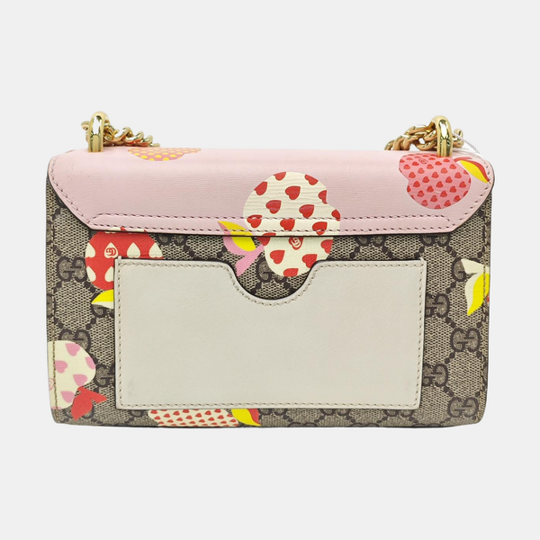 Padlock Small Monogram Coated Canvas Multicolor