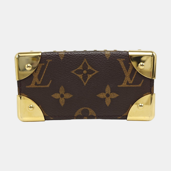 CAMERA BOX Monogram Coated Canvas Brown