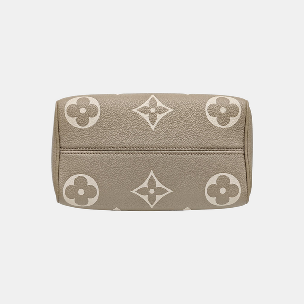 SPEEDY 20 Monogram Calfskin Gray