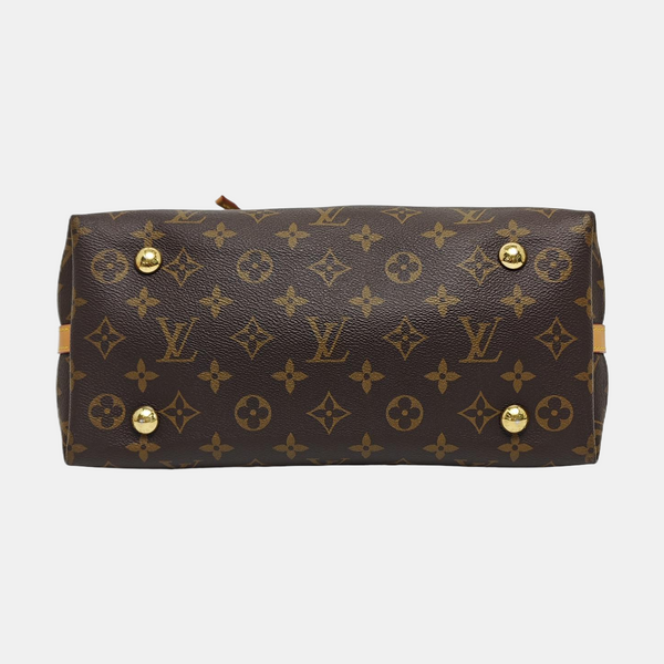 CARRYALL PM Monogram Coated Canvas Brown