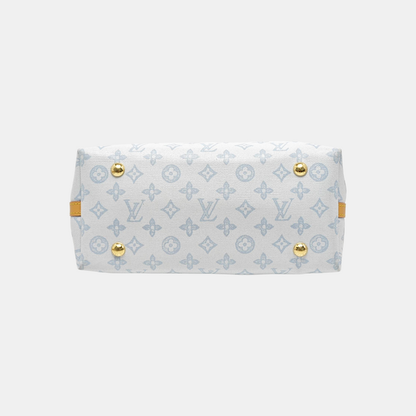 CARRYALL PM Monogram Coated Canvas Blue