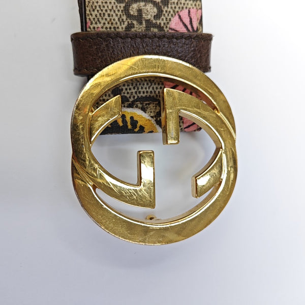 Coated Canvas Belt Brown