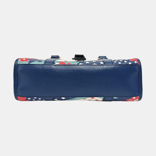 Coated Canvas Multicolor
