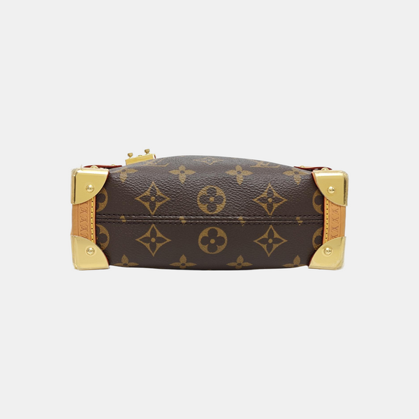 SIDE TRUNK PM Monogram Coated Canvas Brown