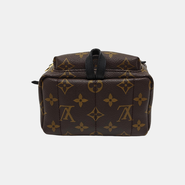 PALM SPRINGS Mini Monogram Coated Canvas Brown