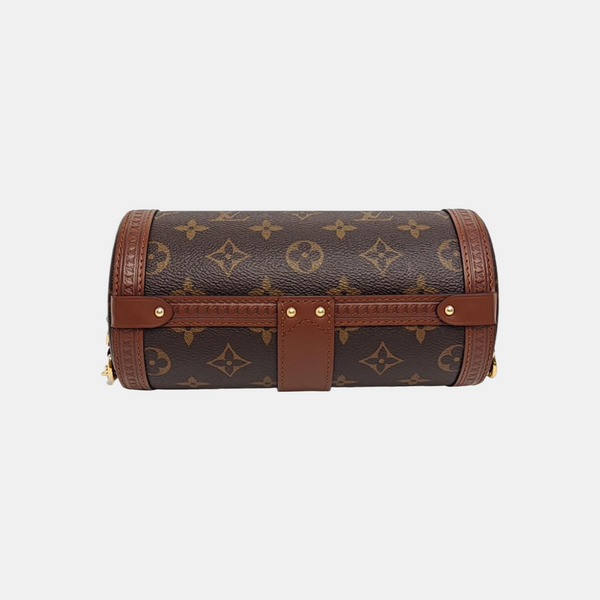 PAPILLON 19 Monogram Coated Canvas Brown