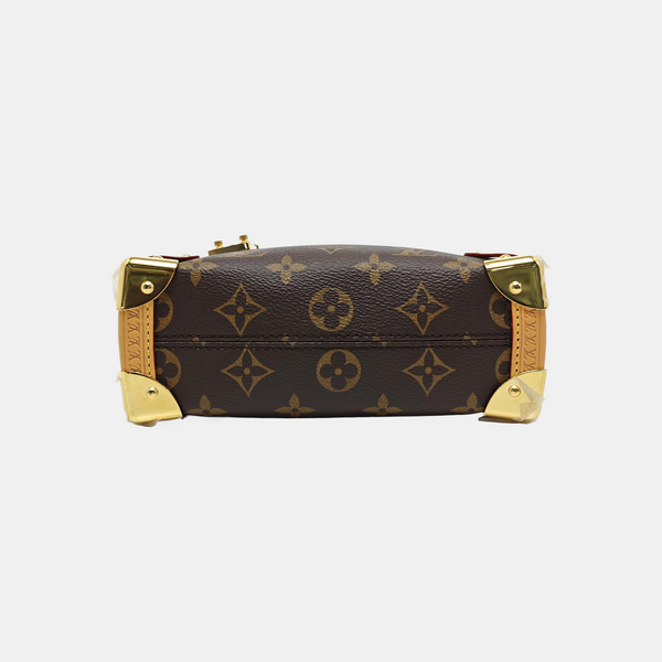 SIDE TRUNK PM Monogram Coated Canvas Brown