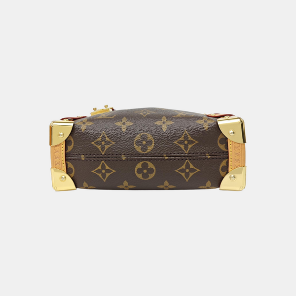 SIDE TRUNK PM Monogram Coated Canvas Brown