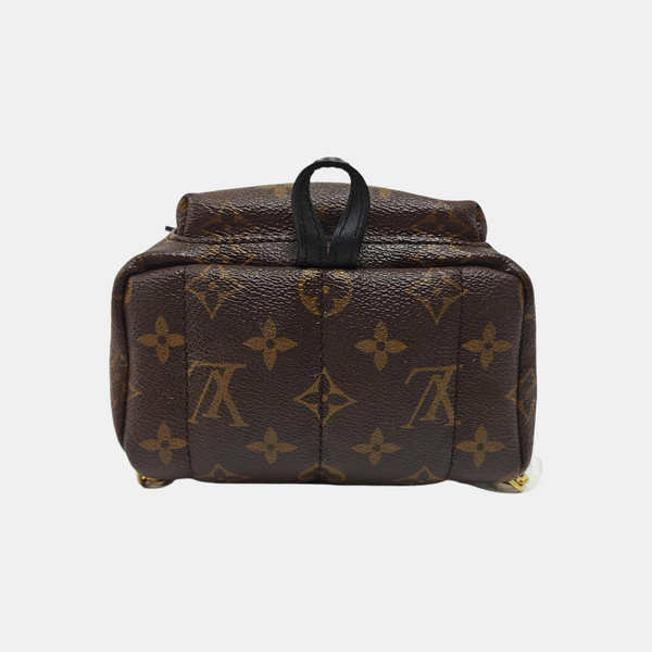 PALM SPRINGS Mini Monogram Coated Canvas Brown
