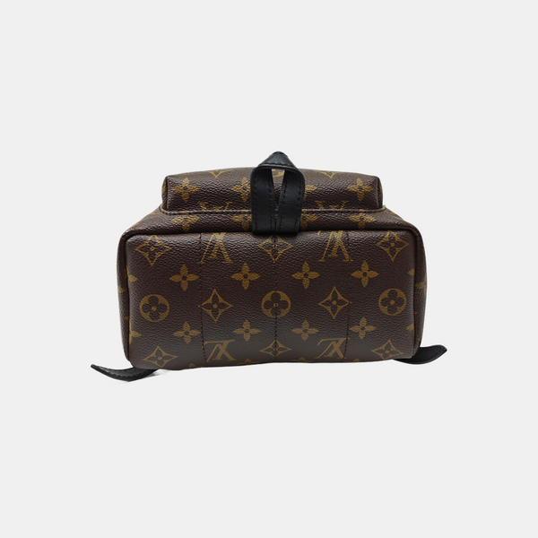 PALM SPRINGS PM Monogram Coated Canvas Brown