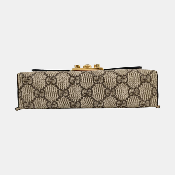 Padlock Mini Monogram Coated Canvas Multicolor