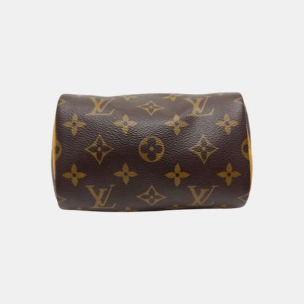 SPEEDY Nano Monogram Coated Canvas Brown