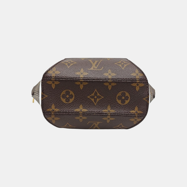 ELLIPSE Monogram Coated Canvas Brown