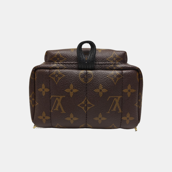 PALM SPRINGS Mini Monogram Coated Canvas Brown