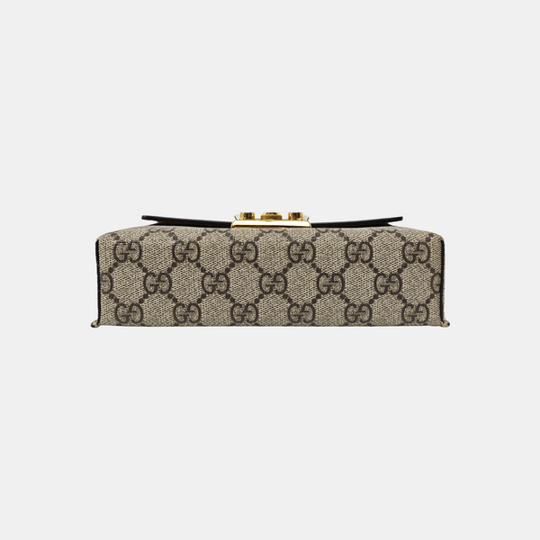 Padlock Mini Monogram Coated Canvas Multicolor