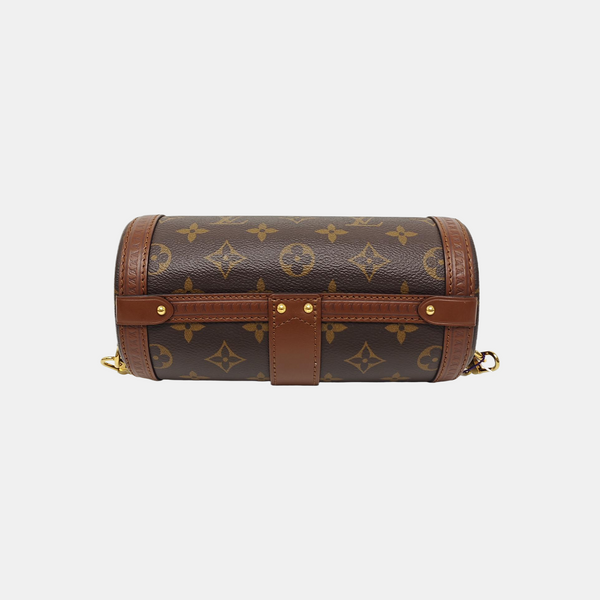 PAPILLON 19 Monogram Coated Canvas Brown