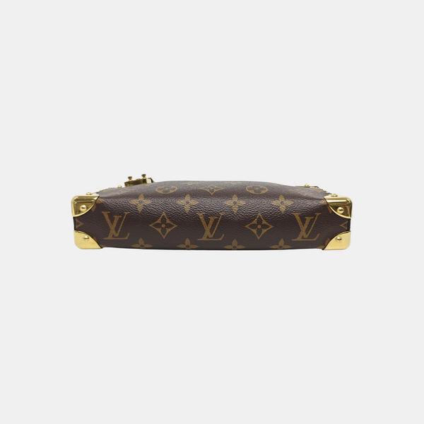 SLIM TRUNK Monogram Coated Canvas Brown