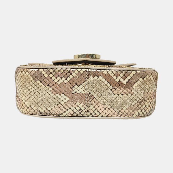 DIVAS' DREAM Python Multicolor