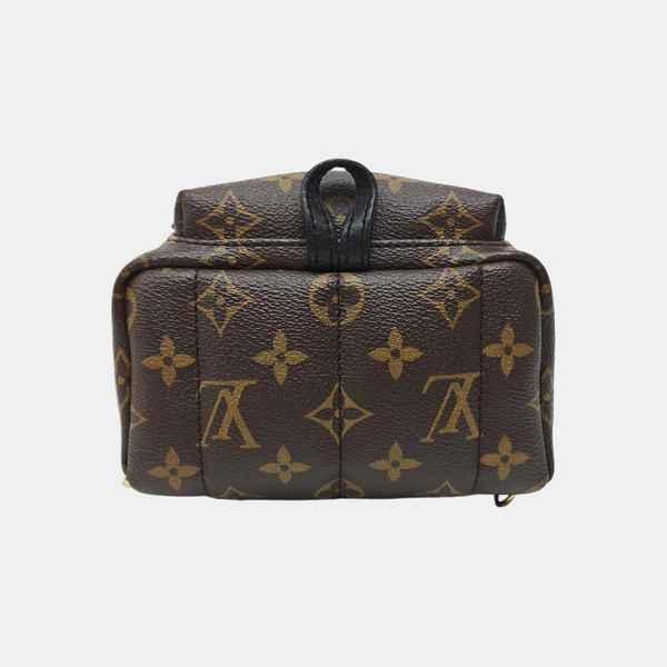 PALM SPRINGS Mini Monogram Coated Canvas Brown