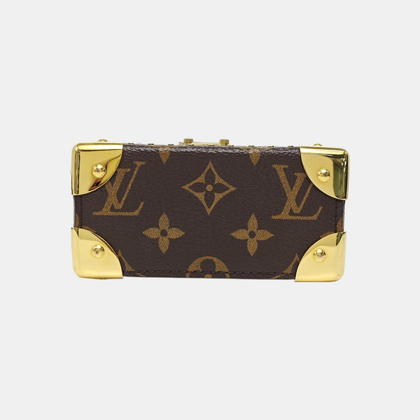 CAMERA BOX Monogram Coated Canvas Brown