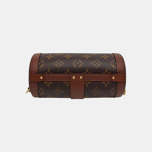 PAPILLON 19 Monogram Coated Canvas Brown