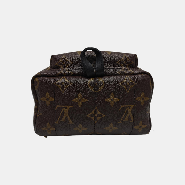 PALM SPRINGS Mini Monogram Coated Canvas Brown